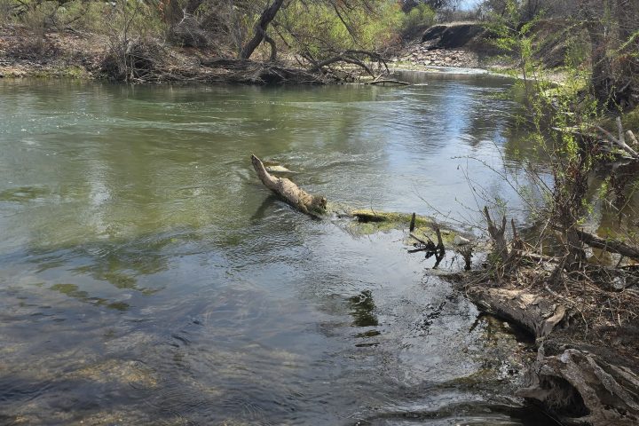 a pond next to a body of water