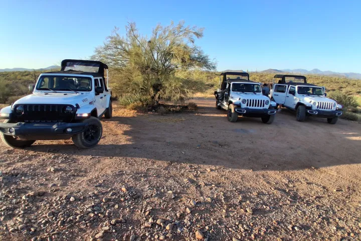 Three white off-road vehicles parked on a rocky desert trail near a tree.