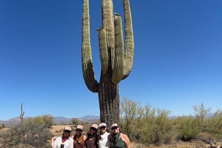 Group of people posing by large cactus in desert landscape.