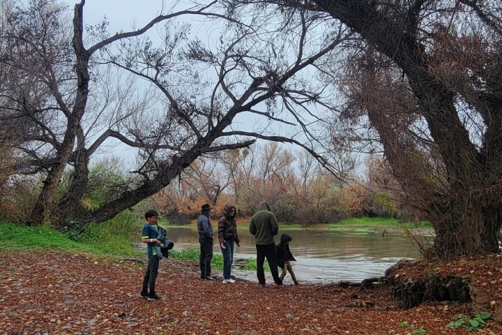 Four people standing by a river under bare trees during a cloudy day with autumn leaves on the ground.