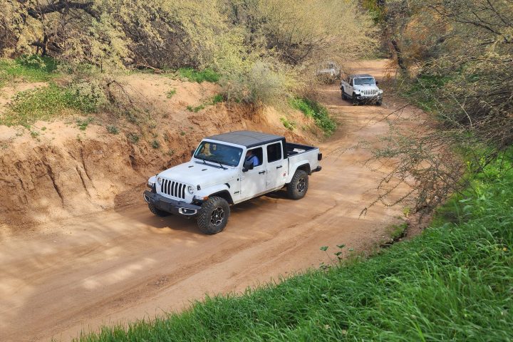 White SUVs driving on a dirt trail through a wooded area with grass and trees.