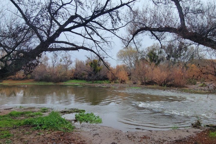 Calm river with trees on both sides and a cloudy sky.